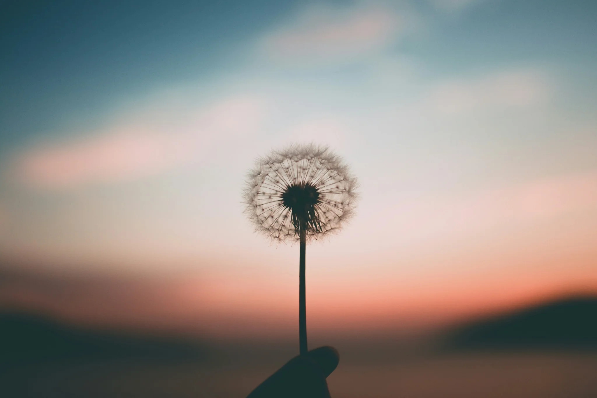 Critical Illness Insurance